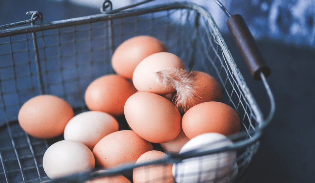 No. 196 – Don’t have all your eggs in one overseas basket